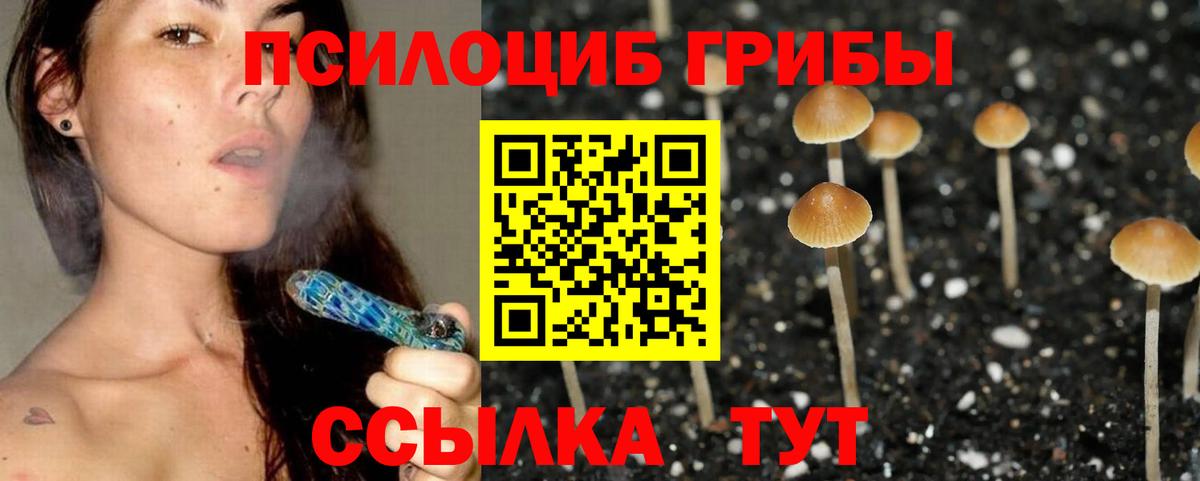 Галлюциногенные грибы Psilocybe Самара